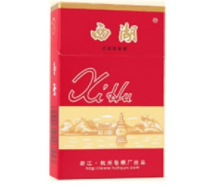 世界高档香烟价格揭秘，奢华享受背后的数字游戏
